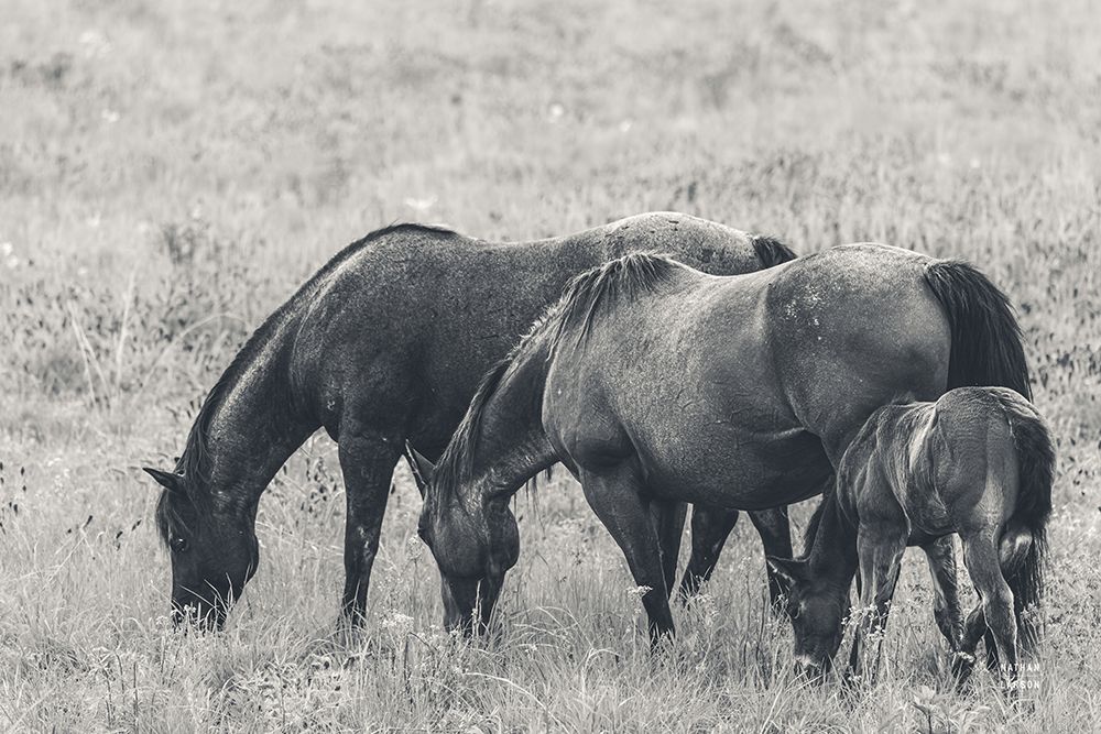 Together BW art print by Nathan Larson for $57.95 CAD