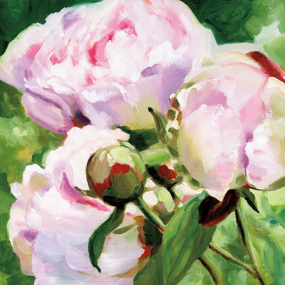 Pink Peony art print by Katrina Pete for $57.95 CAD