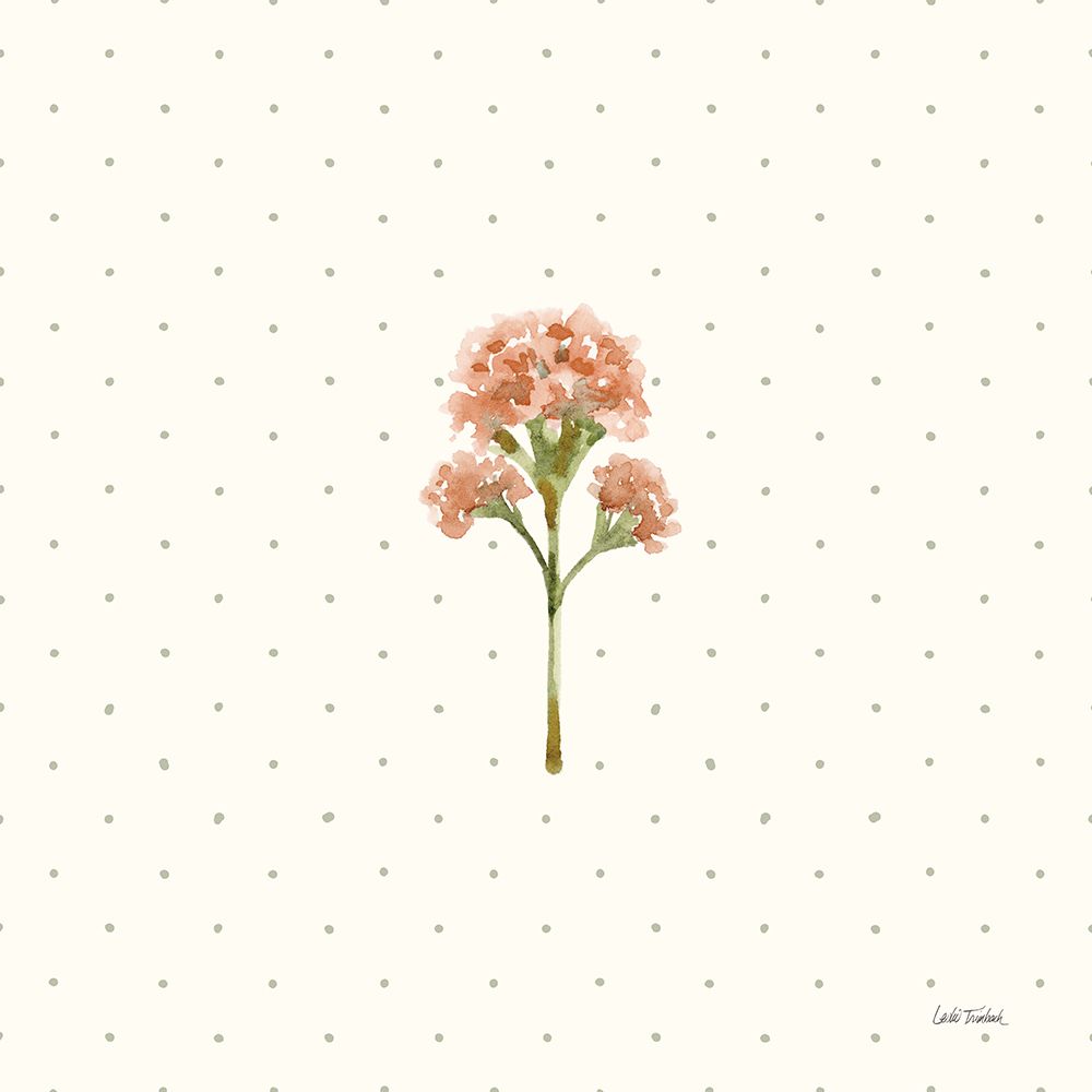 Gentle Bloom II art print by Leslie Trimbach for $57.95 CAD