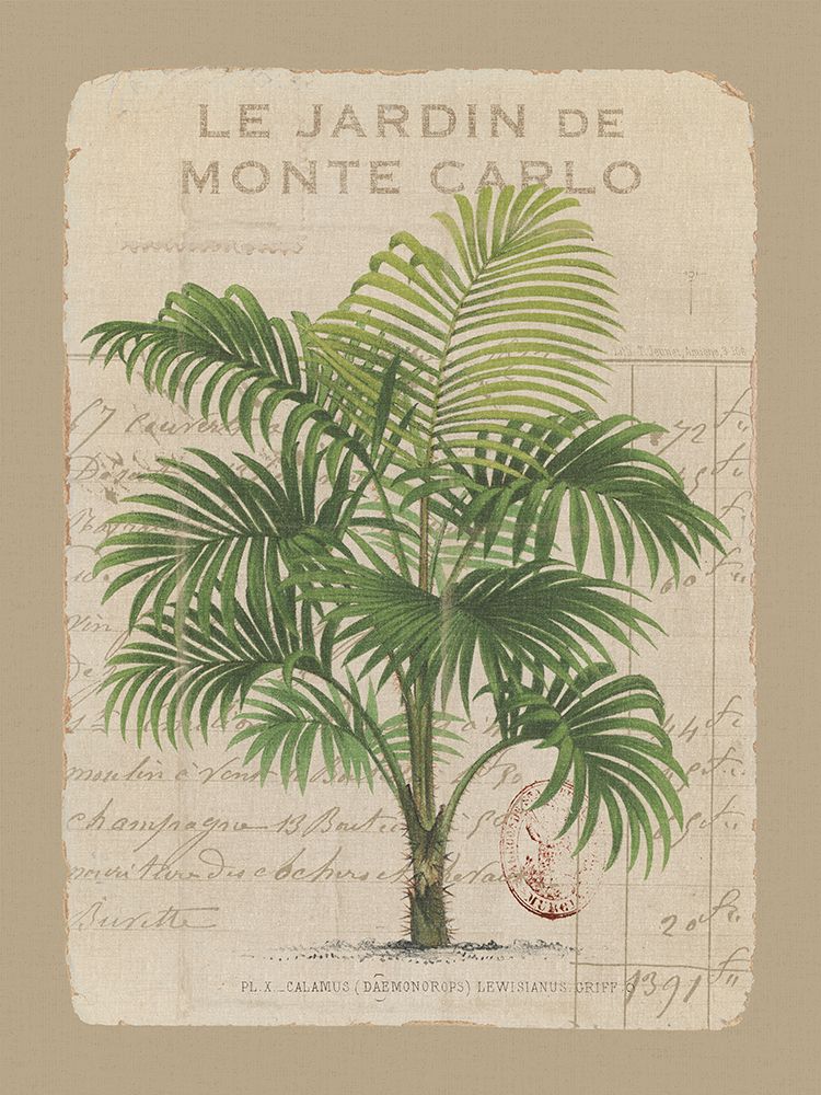 Le Jardin de Monte Carlo art print by Wild Apple Portfolio for $57.95 CAD