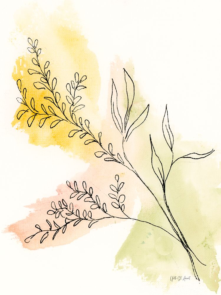 Illustrative Botanical II art print by Yvette St. Amant for $57.95 CAD