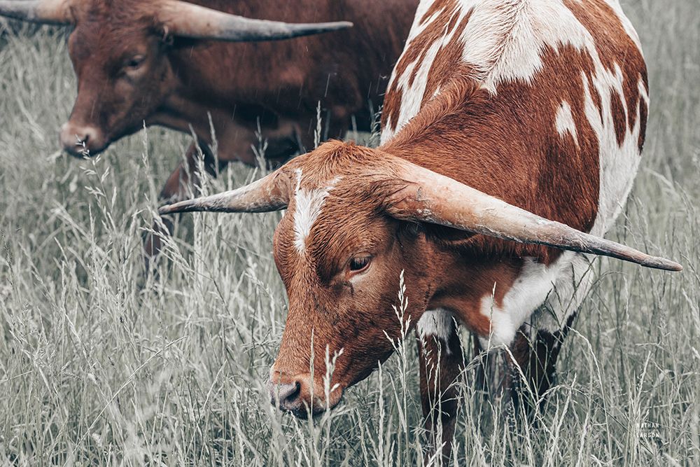 Rainy Pasture III art print by Nathan Larson for $57.95 CAD
