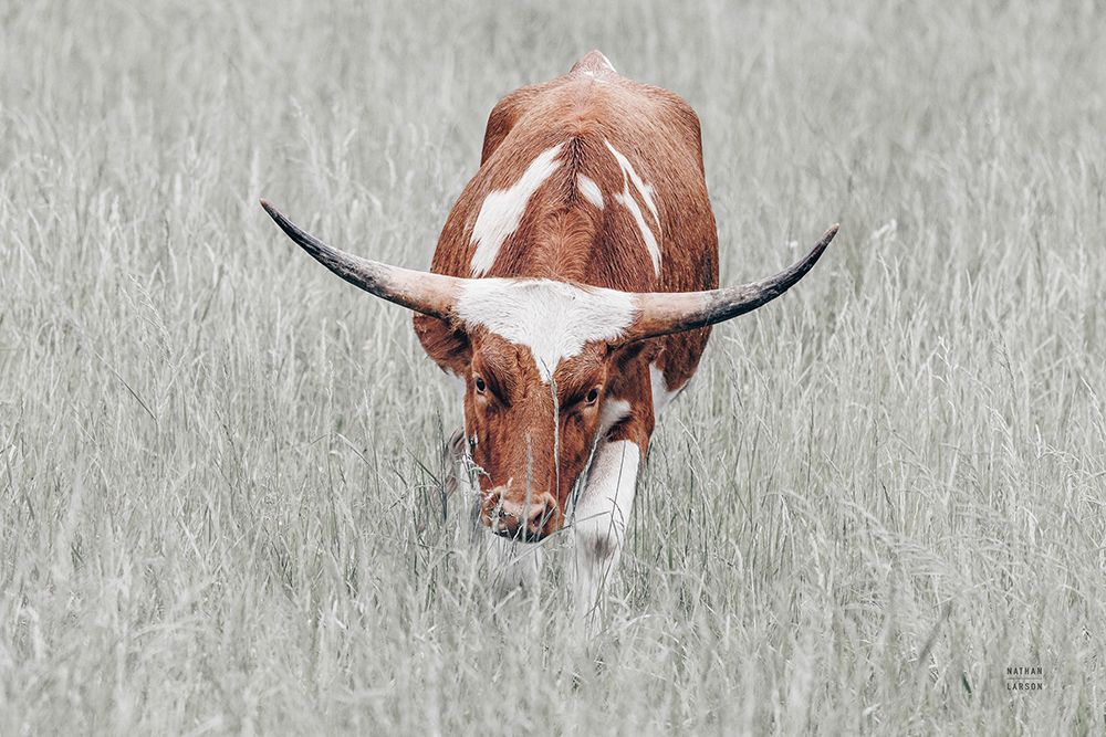 Rainy Pasture II art print by Nathan Larson for $57.95 CAD