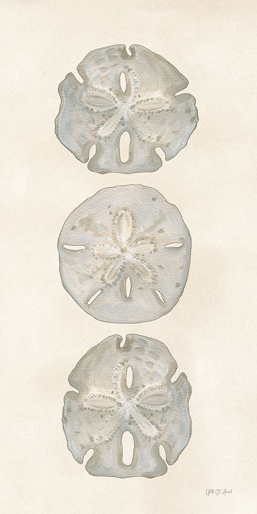 Trio of Sand Dollars art print by Yvette St. Amant for $57.95 CAD