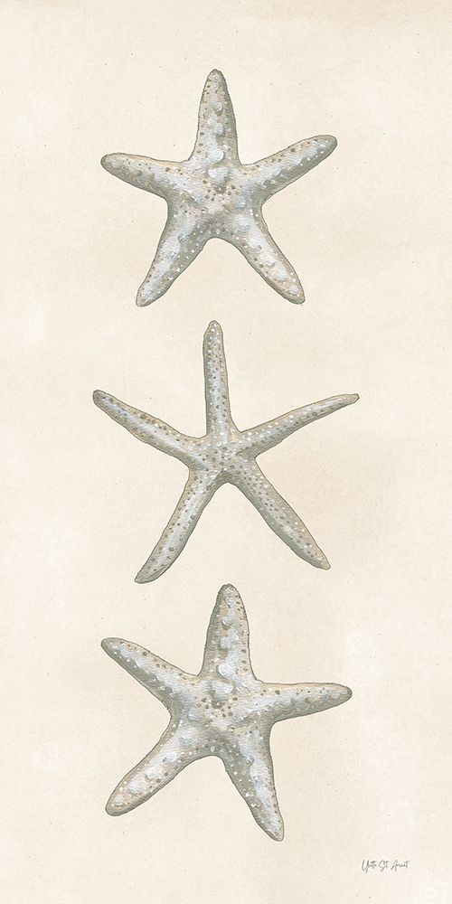Trio of Starfish art print by Yvette St. Amant for $57.95 CAD