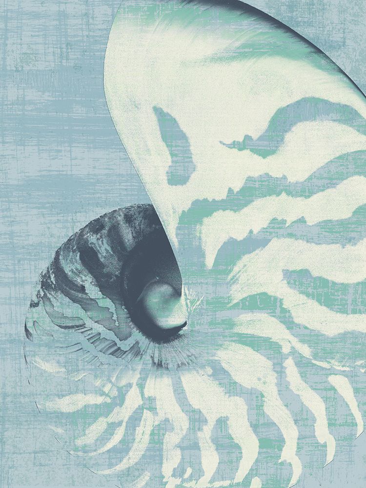 Nautilus on Blue art print by Wild Apple Portfolio for $57.95 CAD