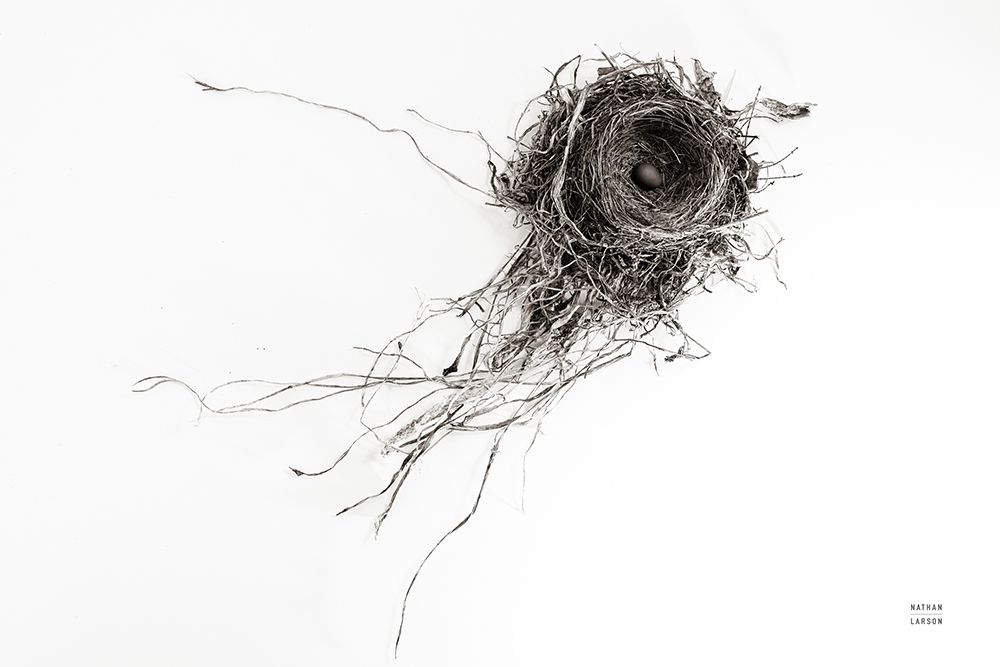 Nest Released art print by Nathan Larson for $57.95 CAD