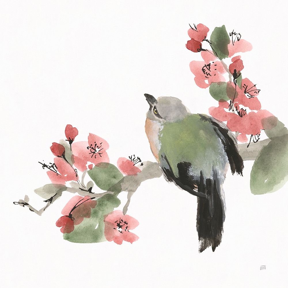 Bird and Blossoms II art print by Chris Paschke for $57.95 CAD