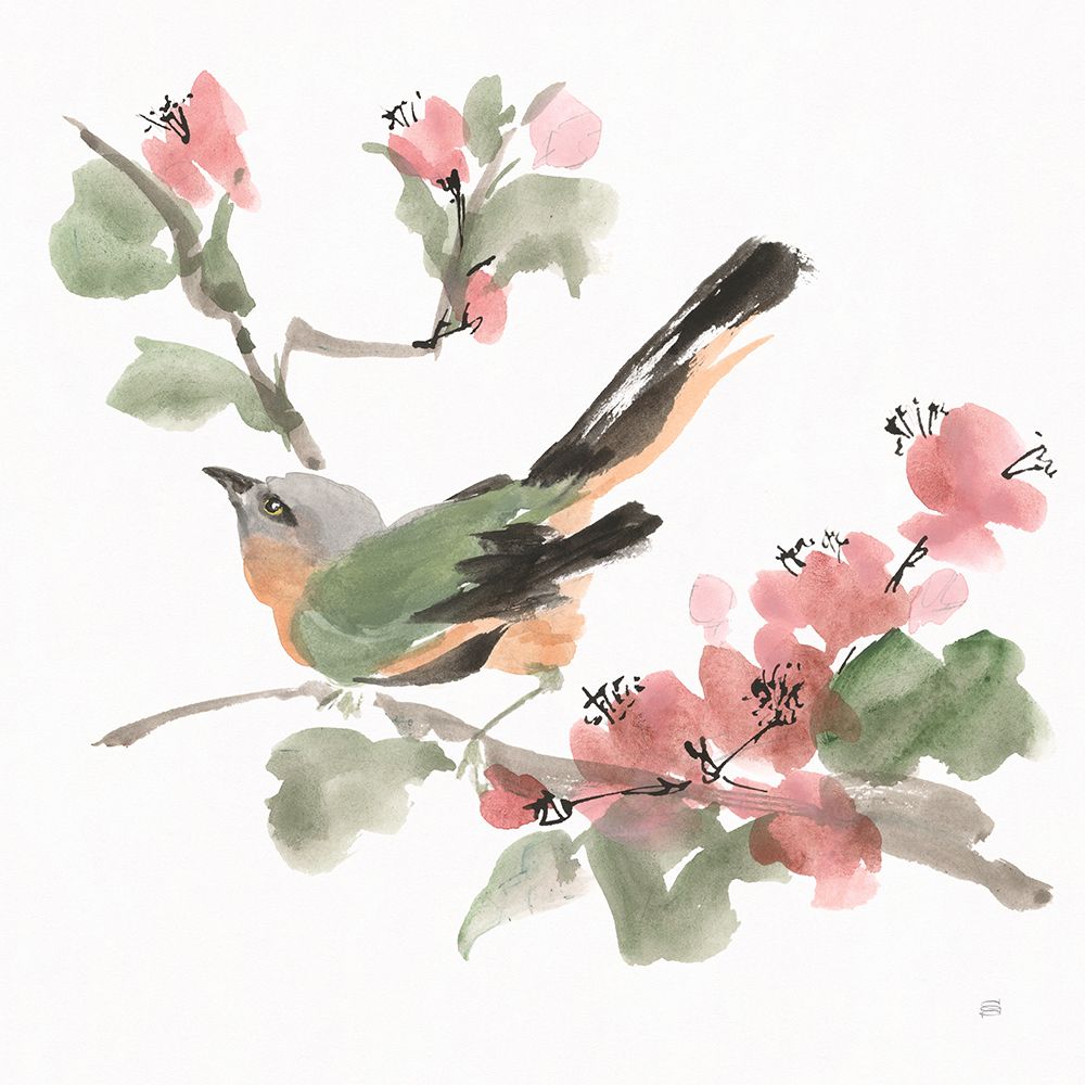 Bird and Blossoms IV art print by Chris Paschke for $57.95 CAD