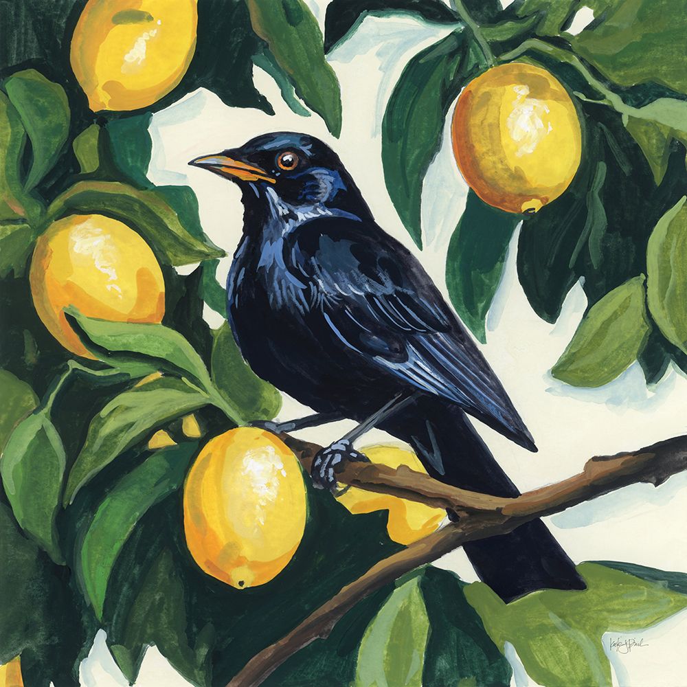 Bird with Lemon Branch art print by Kate Jarvik Birch for $57.95 CAD