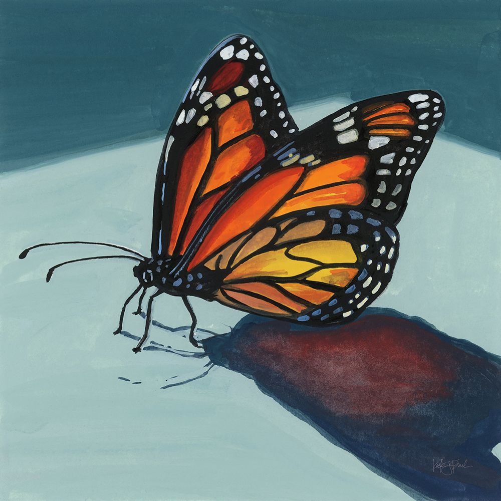 Shadow Study of a Butterfly art print by Kate Jarvik Birch for $57.95 CAD