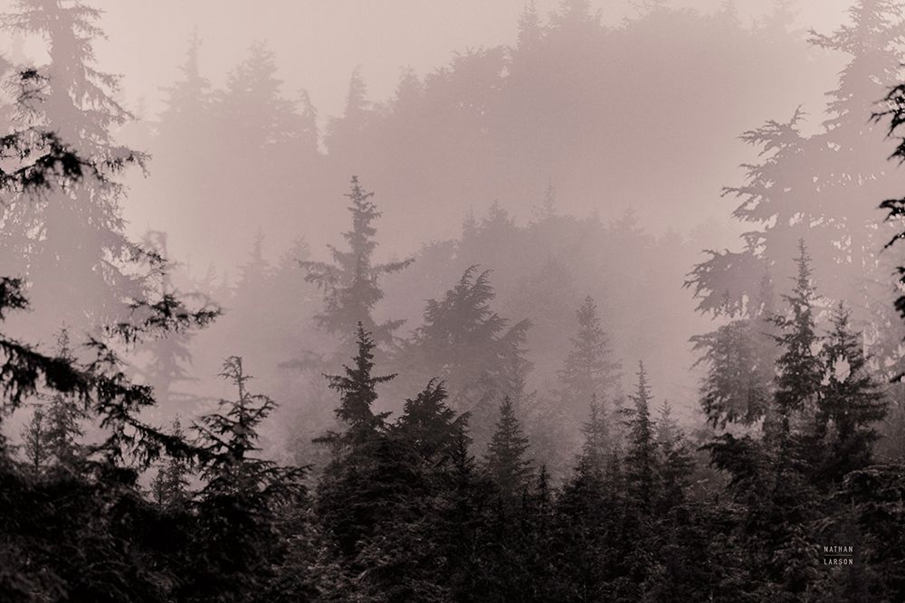 Mystery Wood I art print by Nathan Larson for $57.95 CAD