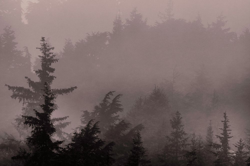 Mystery Wood III art print by Nathan Larson for $57.95 CAD