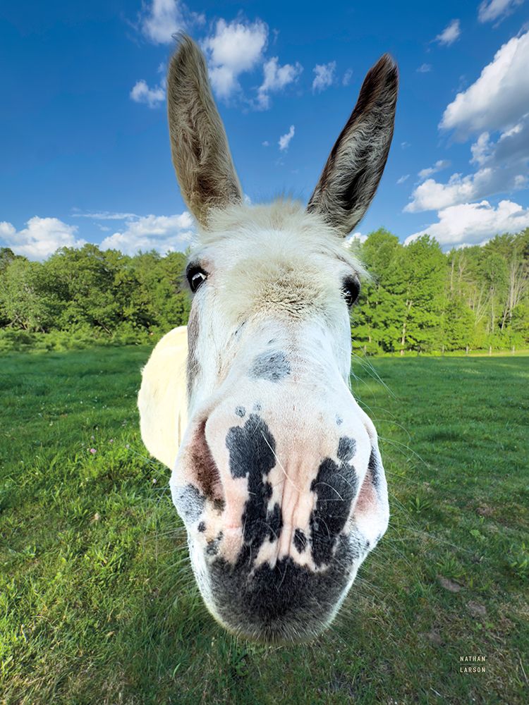 Give Me Treats art print by Nathan Larson for $57.95 CAD