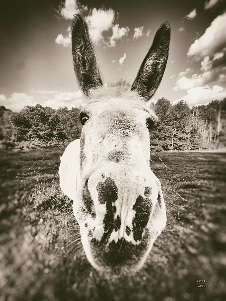 Give Me Treats Sepia art print by Nathan Larson for $57.95 CAD