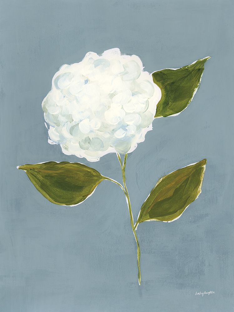 Dusty Blue Hydrangea II art print by Haley Knighten for $57.95 CAD