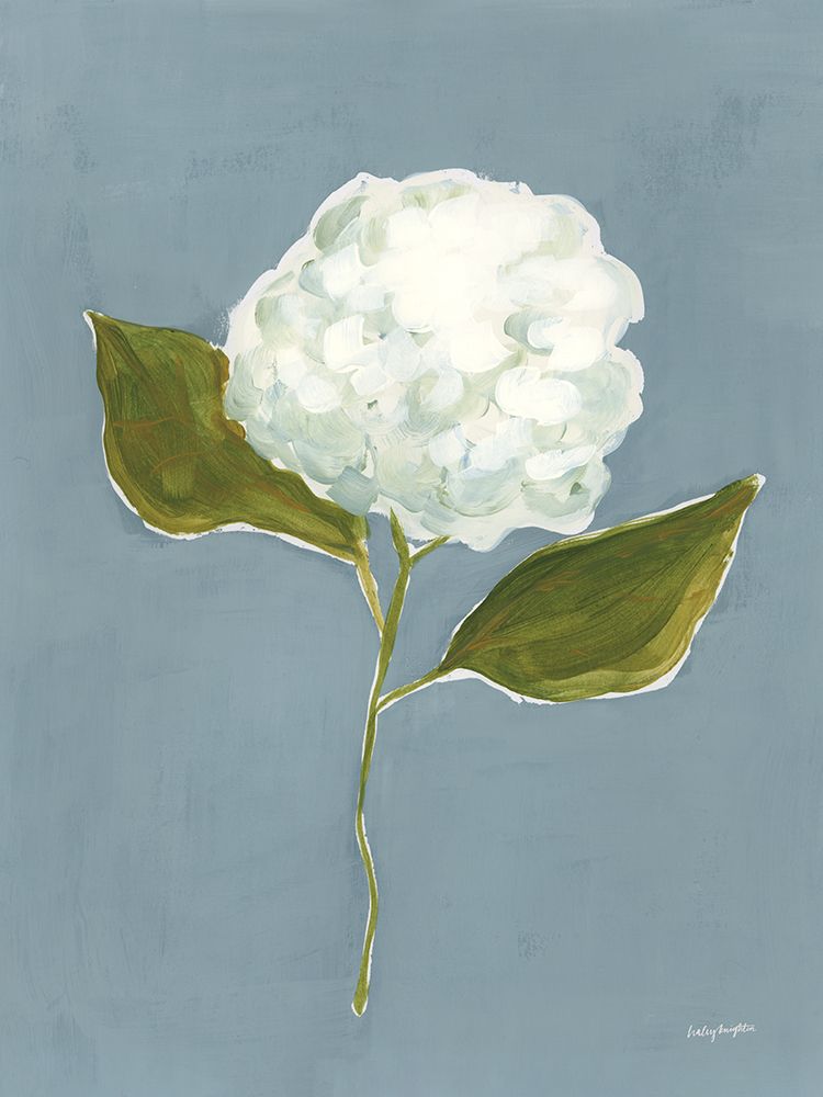 Dusty Blue Hydrangea IV art print by Haley Knighten for $57.95 CAD