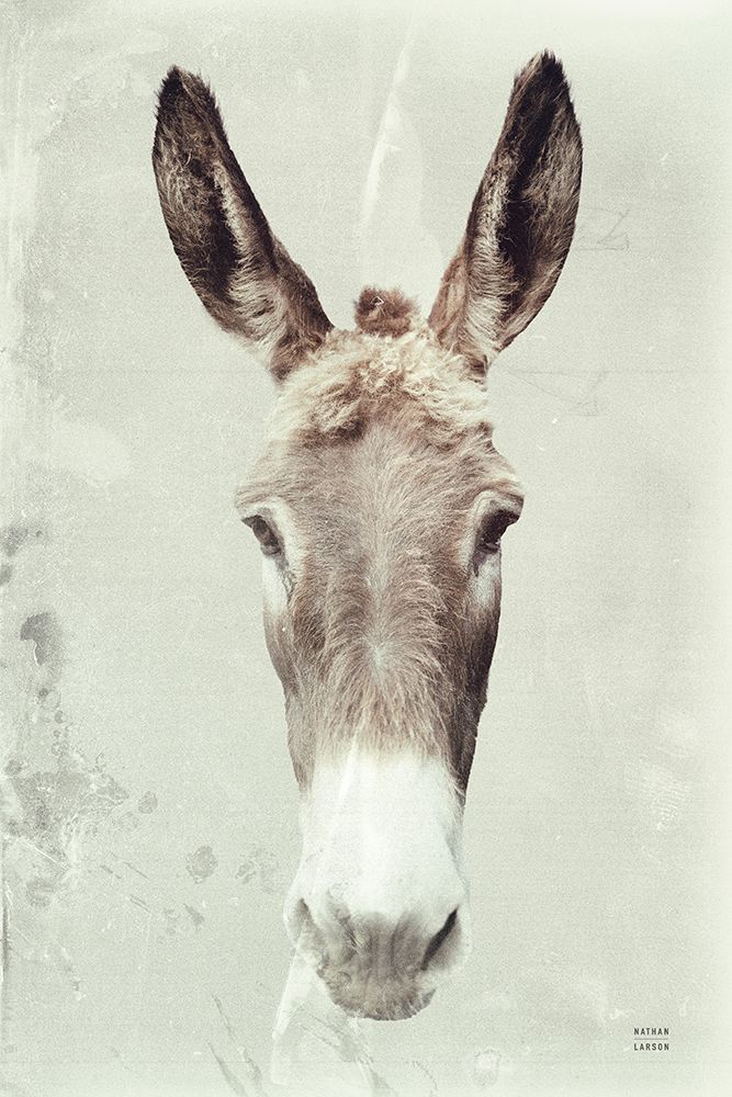 Jack art print by Nathan Larson for $57.95 CAD
