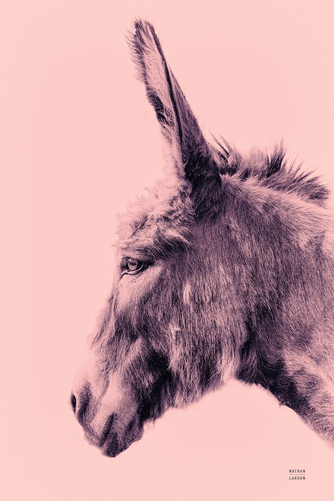 Donkey Portrait art print by Nathan Larson for $57.95 CAD