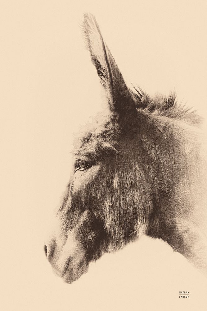 Donkey Portrait Sepia art print by Nathan Larson for $57.95 CAD