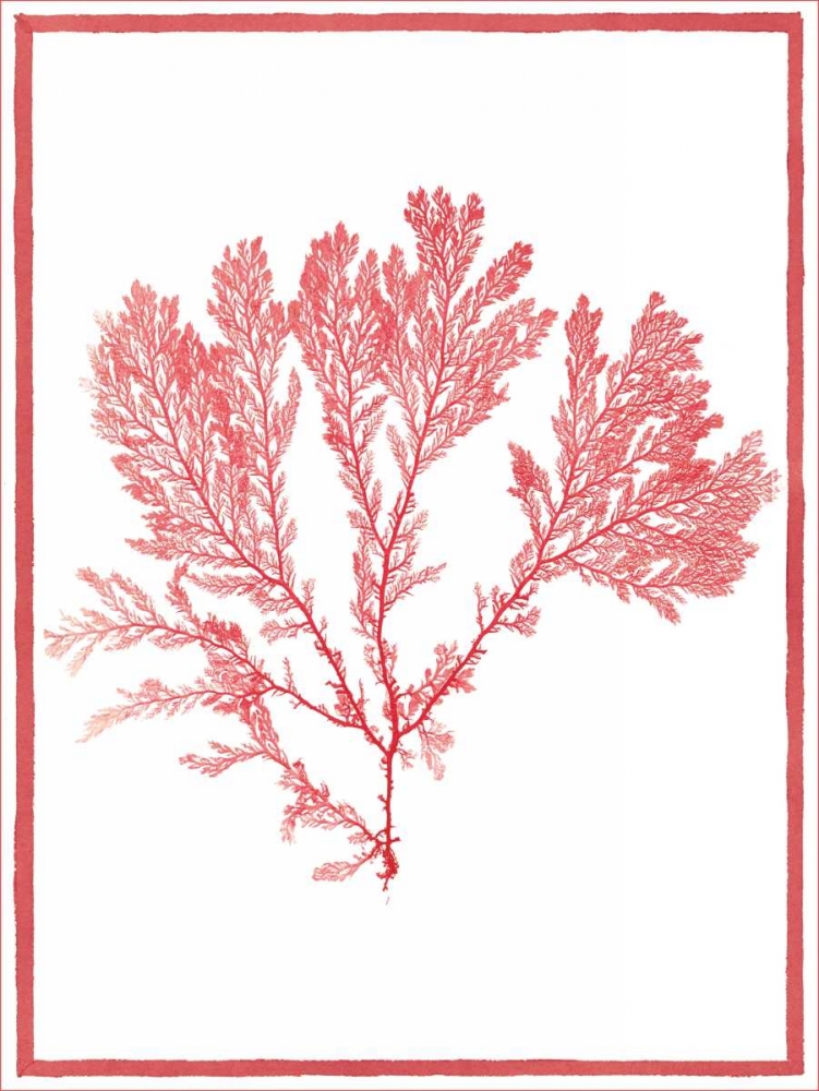 Sea Things I art print by Sarah E. Chilton for $57.95 CAD