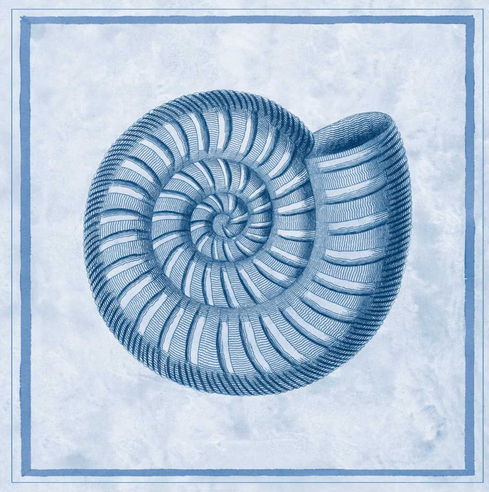 Blue Nautilus A art print by Sarah E Chilton for $57.95 CAD