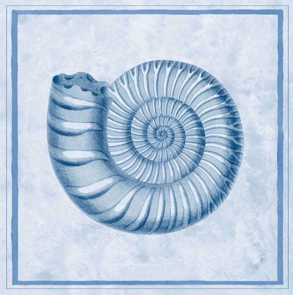 Blue Nautilus B art print by Sarah E Chilton for $57.95 CAD