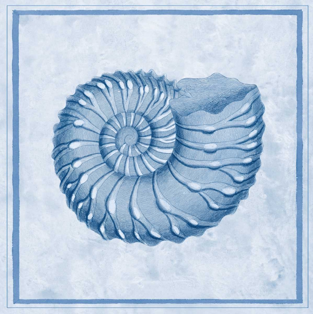 Blue Nautilus C art print by Sarah E Chilton for $57.95 CAD