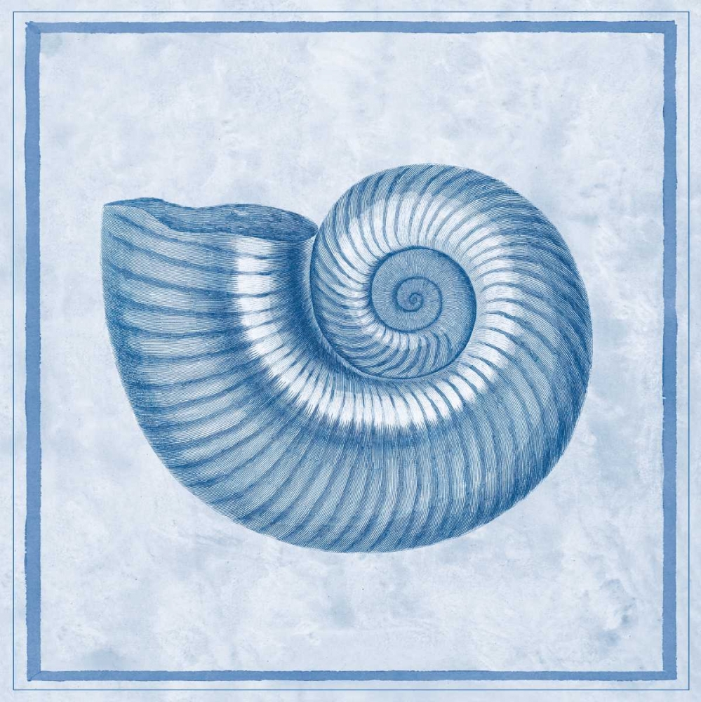Blue Nautilus D art print by Sarah E Chilton for $57.95 CAD