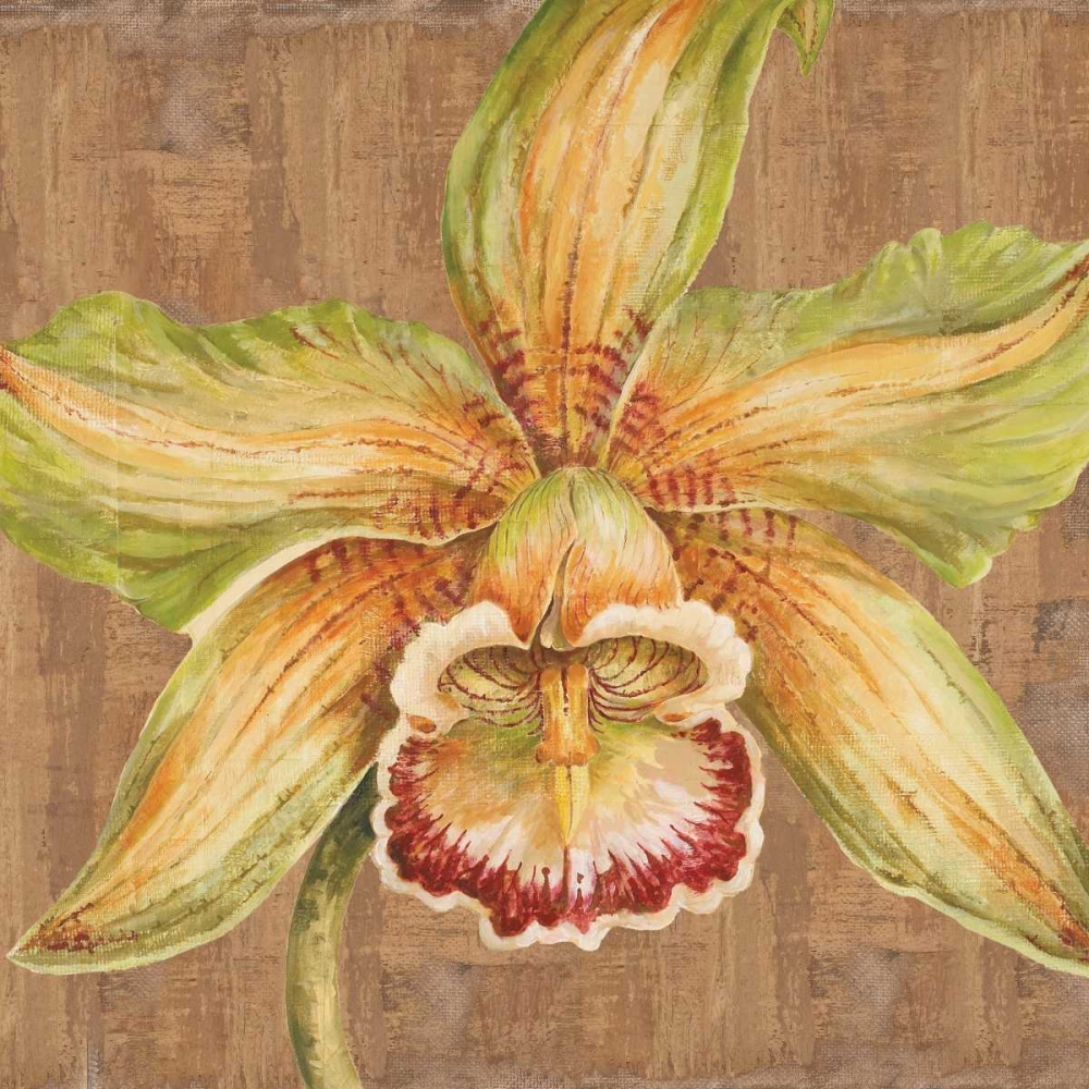 Aloha Beauty I art print by Judy Shelby for $57.95 CAD