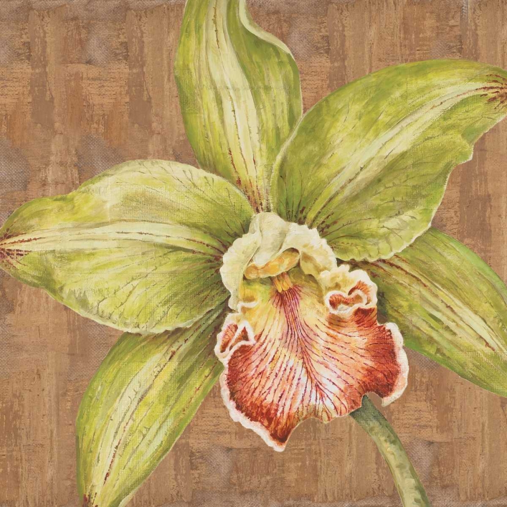 Aloha Beauty II art print by Judy Shelby for $57.95 CAD