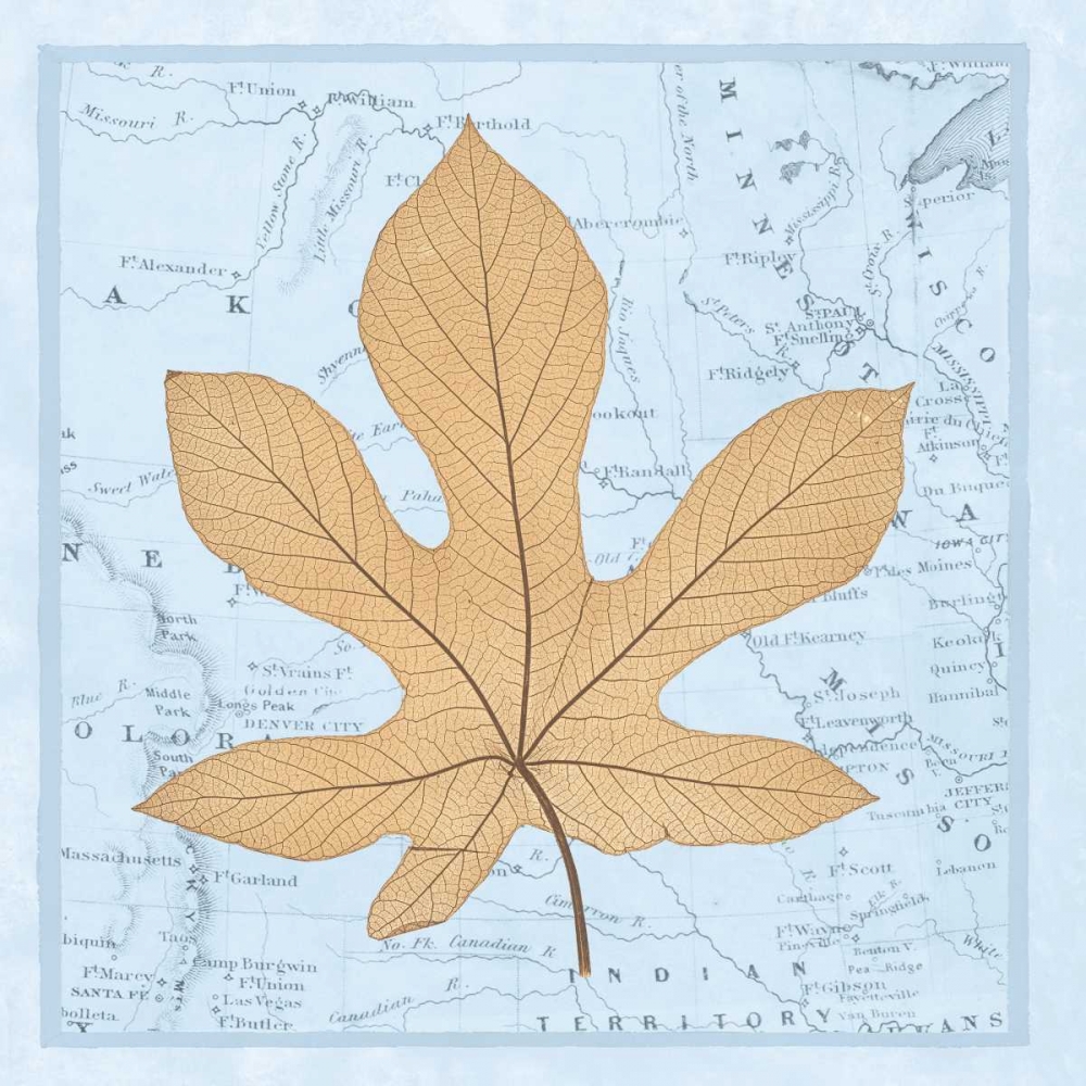 Natures Profile A art print by Cory Bannister for $57.95 CAD