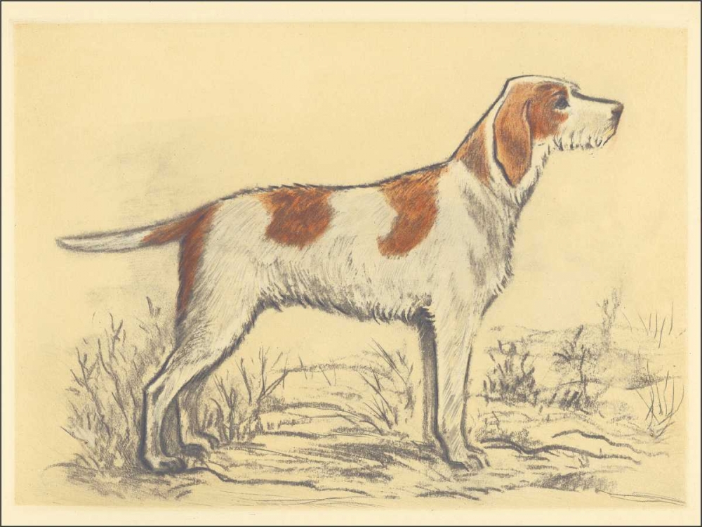 Hunting Dogs-Griffon art print by Andres Collot for $57.95 CAD