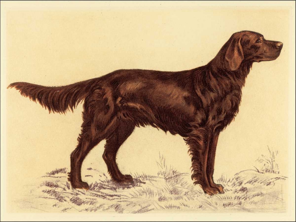 Hunting Dogs-Setter art print by Andres Collot for $57.95 CAD