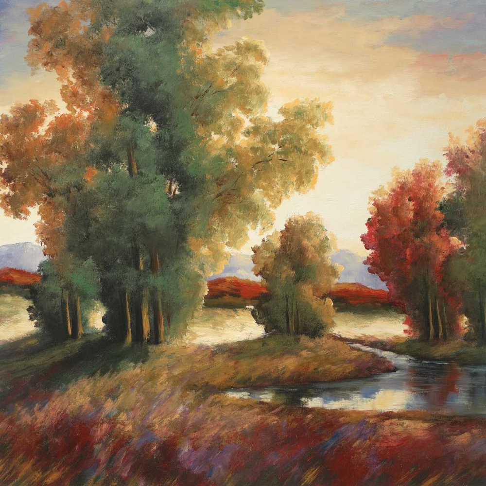 Sullivans Creek I art print by Adam Rogers for $57.95 CAD