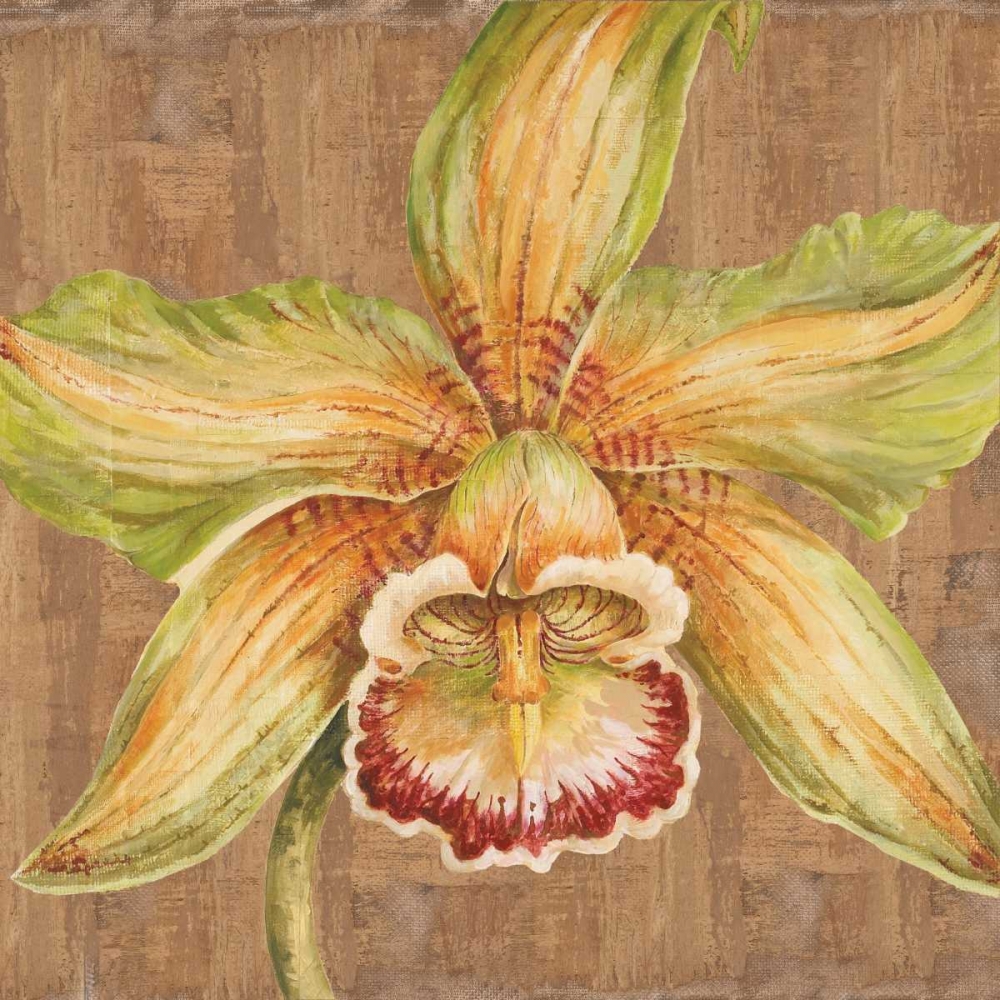 Aloha Beauty Petites A art print by Judy Shelby for $57.95 CAD