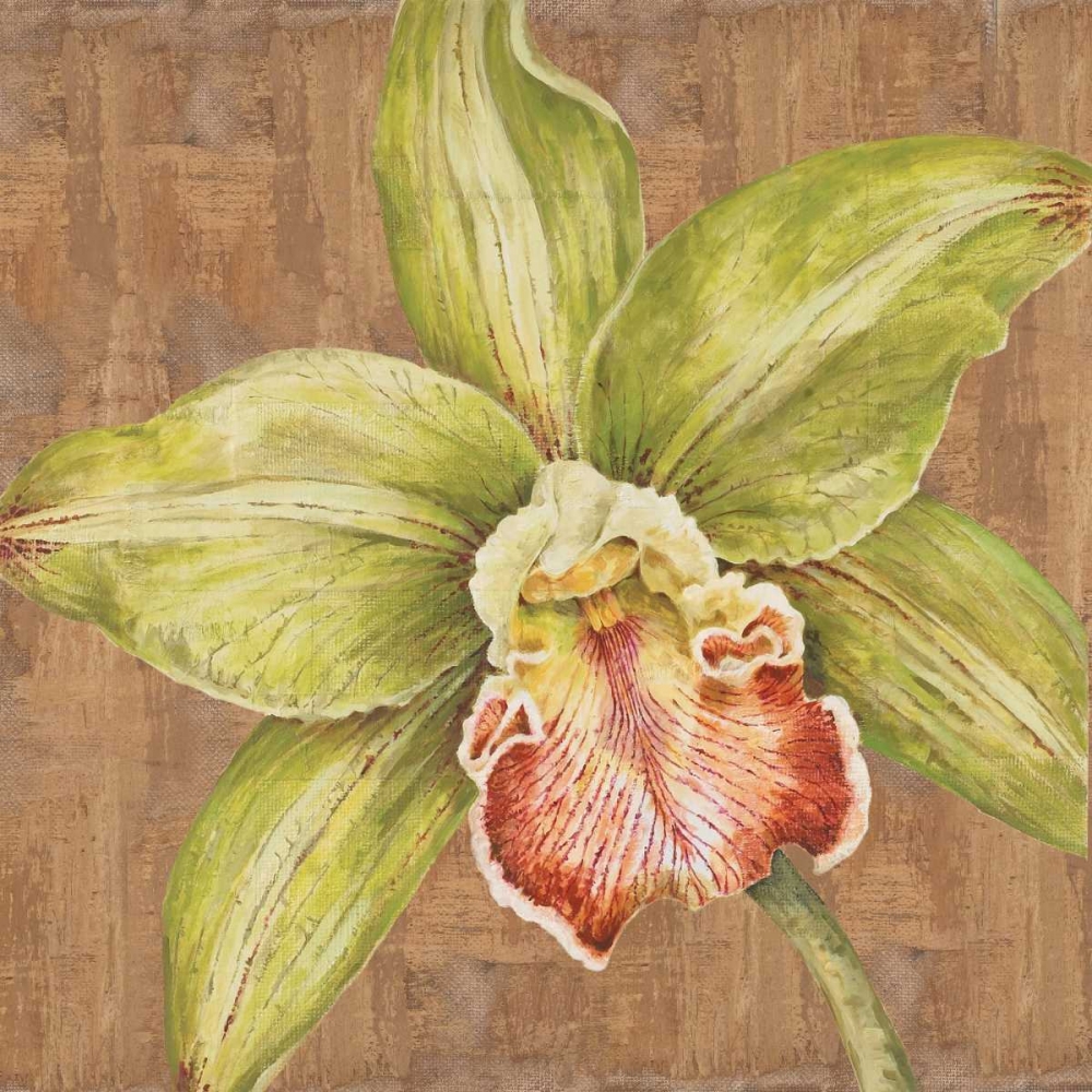Aloha Beauty Petites B art print by Judy Shelby for $57.95 CAD