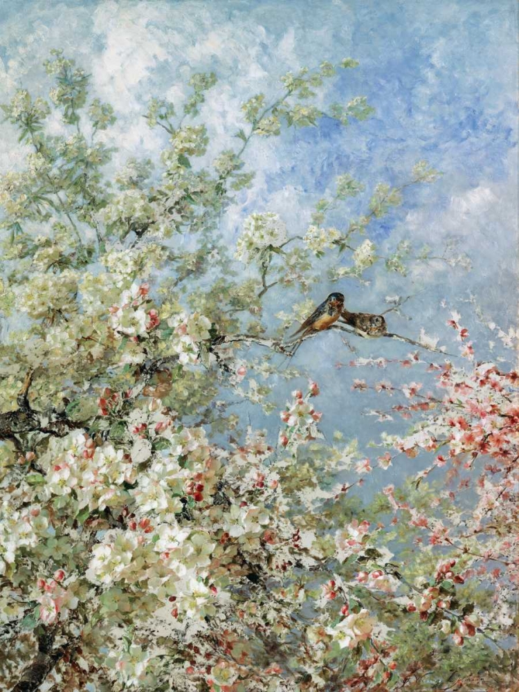 Apple Blossoms art print by Olga Wisinger-Florian for $57.95 CAD