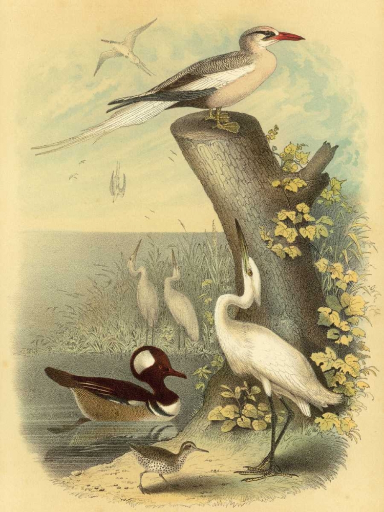 Coastal Dwellers II art print by Horace Steele for $57.95 CAD