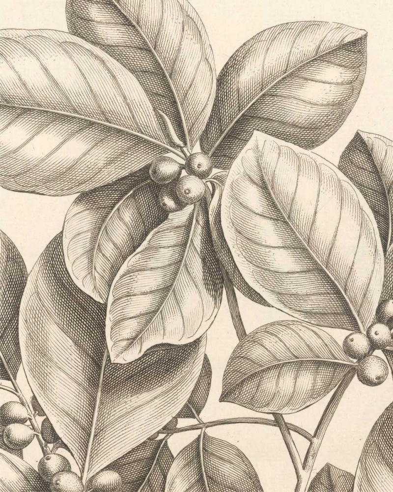 Tropical Connection I art print by Louis Van Houtte for $57.95 CAD