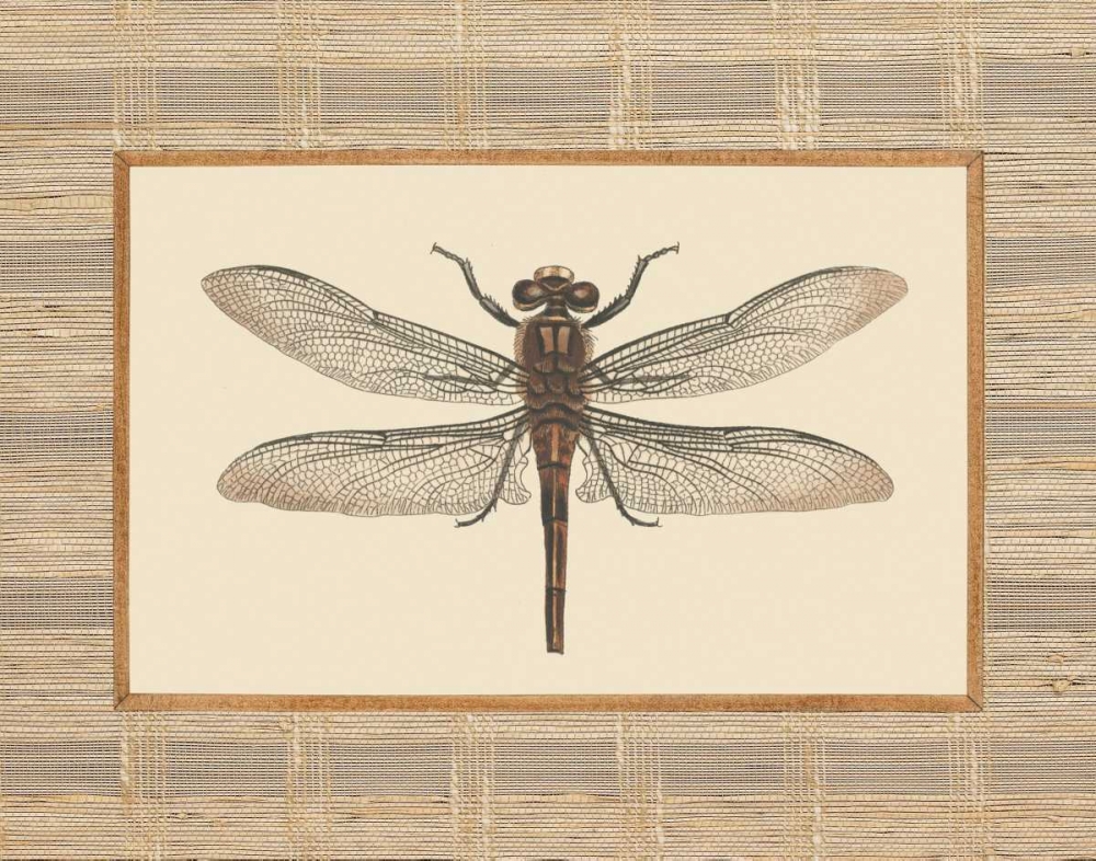 Delicate Dancer I art print by Sarah E. Chilton for $57.95 CAD