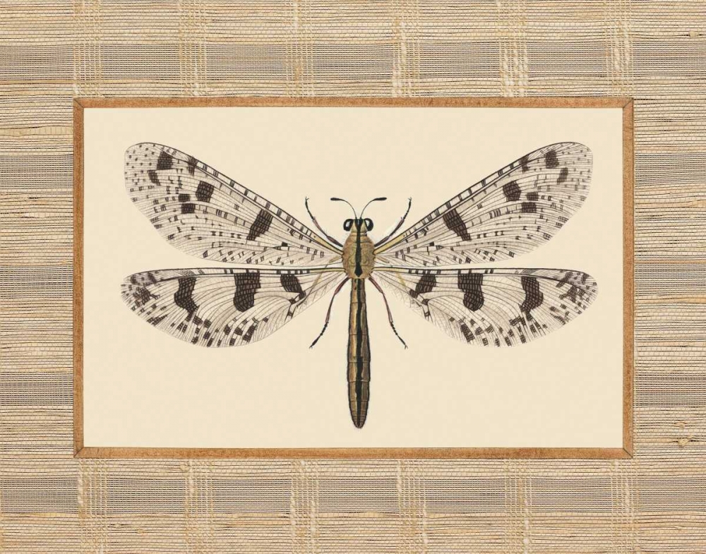 Delicate Dancer III art print by Sarah E. Chilton for $57.95 CAD