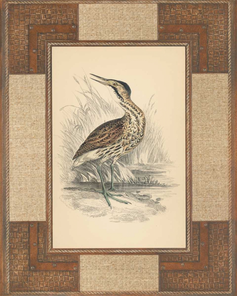 Marshland Bittern art print by Alastair Reynolds for $57.95 CAD