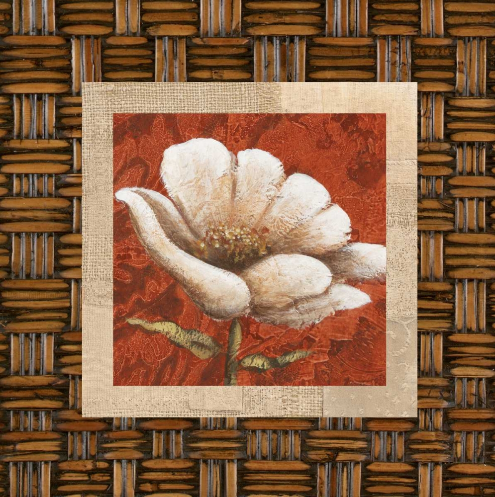 Plantation Themes B art print by Susan Davies for $57.95 CAD