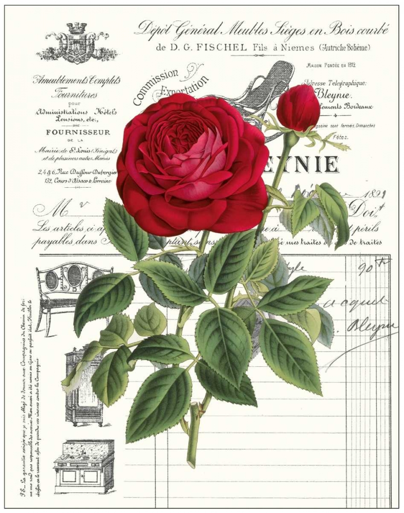 Heirloom Roses B art print by Sarah E. Chilton for $57.95 CAD