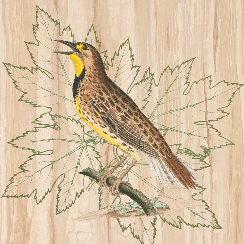 Treetops IV art print by Alastair Reynolds for $57.95 CAD