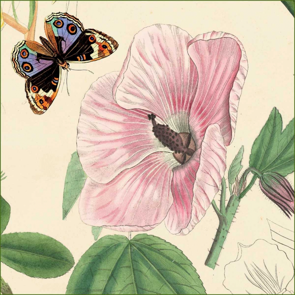 Hibiscus art print by Louis van Houtte for $57.95 CAD
