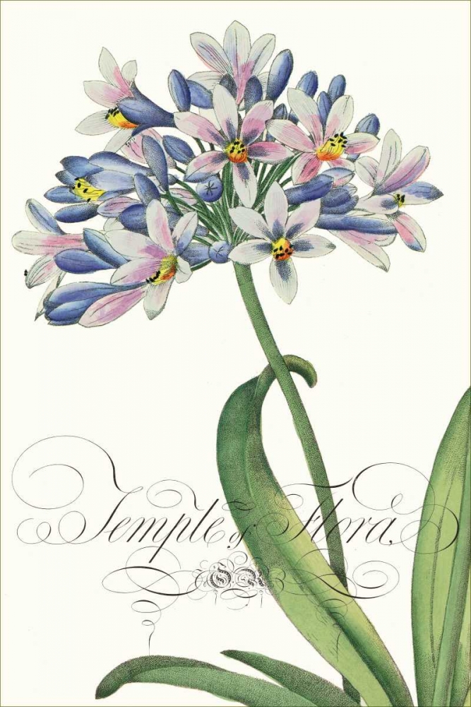 Modern Atelier I art print by Sarah E. Chilton for $57.95 CAD