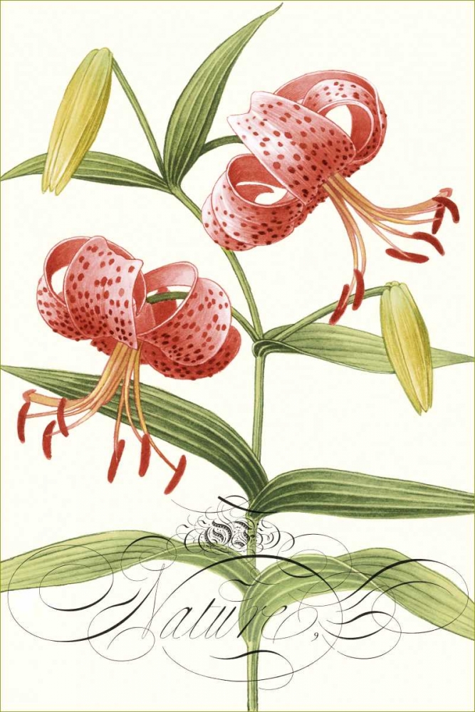 Modern Atelier II art print by Sarah E. Chilton for $57.95 CAD