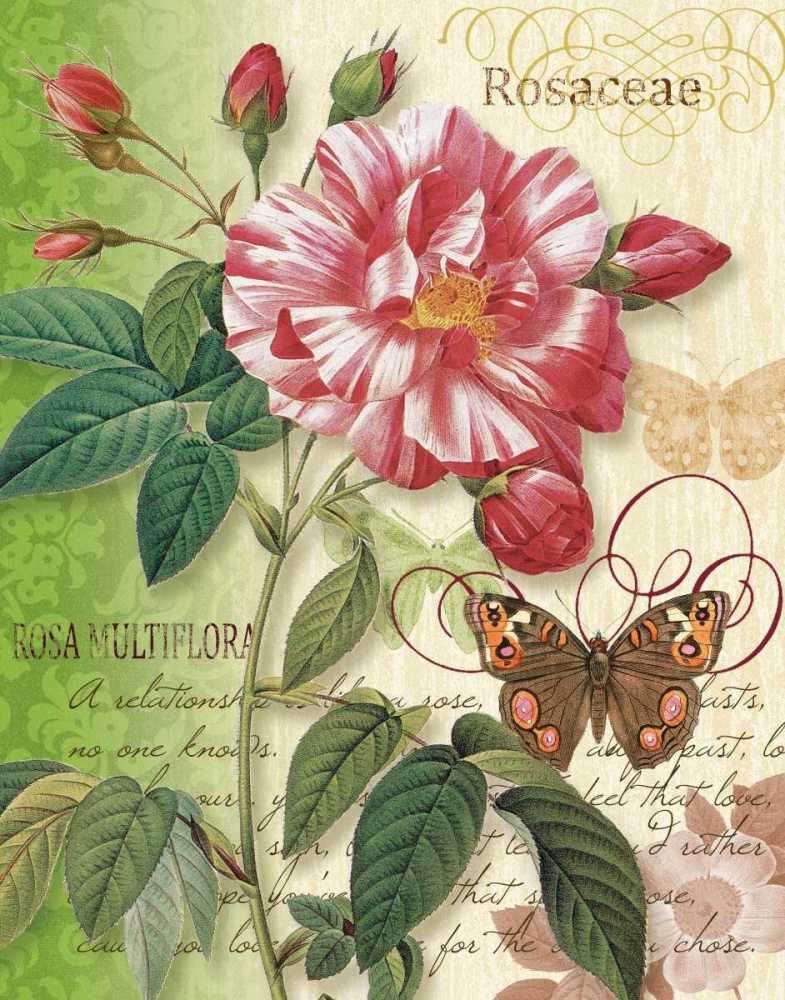 Rose Splendor I art print by Ching Han for $57.95 CAD